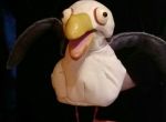 SeagullR